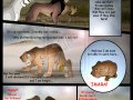 tlk_heirs_79_by_savu0211-d2xgkut.jpg
